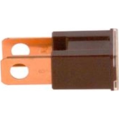 1 987 529 076 Sicherung 1 987 529 076 Sicherung