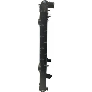 NRF | Kühler, Motorkühlung | 560003