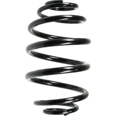 Spidan | Fahrwerksfeder | 48790