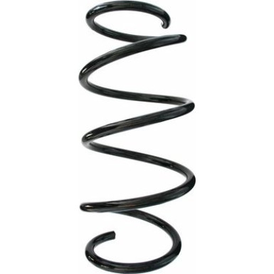 Spidan | Fahrwerksfeder | 87293