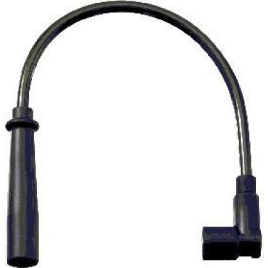 BorgWarner (BERU) | Zündleitungssatz | ZEF1647