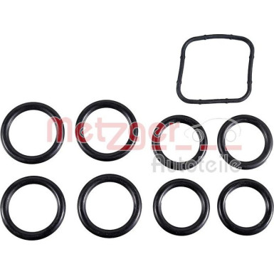 2100900 Dichtungssatz, Ansaugkrümmer 2100900 Dichtungssatz, Ansaugkrümmer