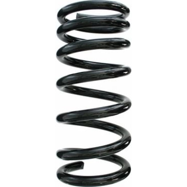 Spidan | Fahrwerksfeder | 55787