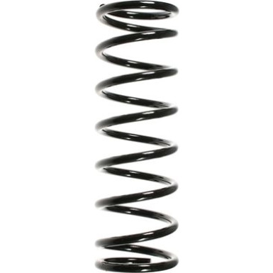 Spidan | Fahrwerksfeder | 55329