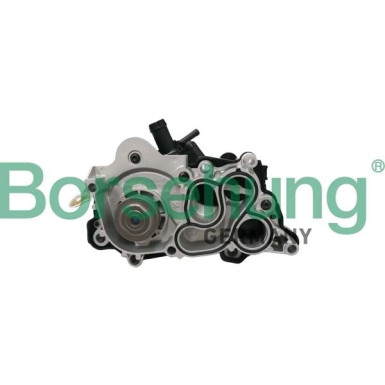 BORSEHUNG | Wasserpumpe | B12692