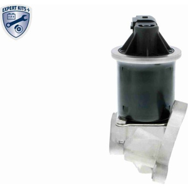 Vemo | AGR-Ventil | V10-63-0072