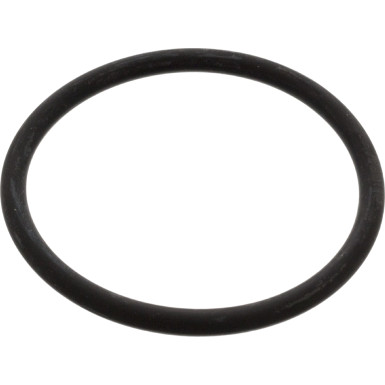 FEBI BILSTEIN 17966 Dichtung, Thermostat FEBI BILSTEIN 17966 Dichtung, Thermostat