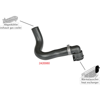 2420060 Kühlerschlauch