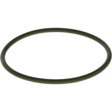 BOSCH | Dichtring | F 00N 201 857
