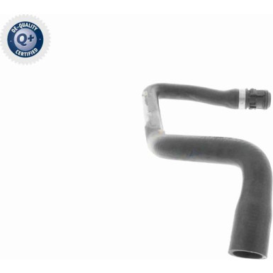 Vaico | Kühlerschlauch | V30-3148