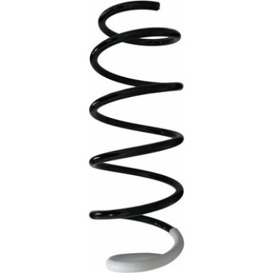 Spidan | Fahrwerksfeder | 87400