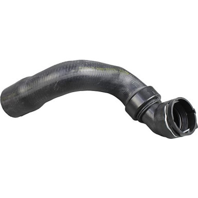 2420268 Kühlerschlauch