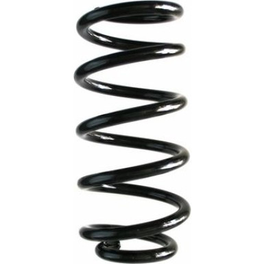 Spidan | Fahrwerksfeder | 87284
