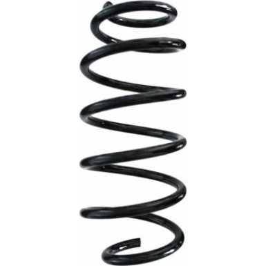 Spidan | Fahrwerksfeder | 87541