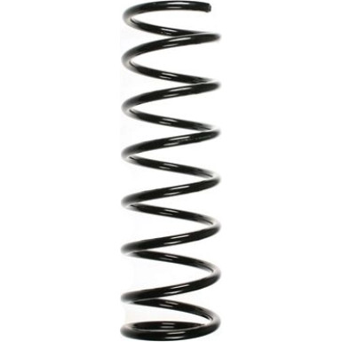 Spidan | Fahrwerksfeder | 55690