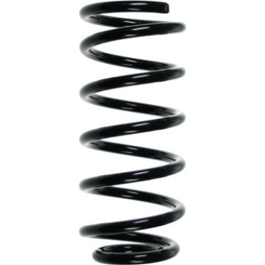 Spidan | Fahrwerksfeder | 55129