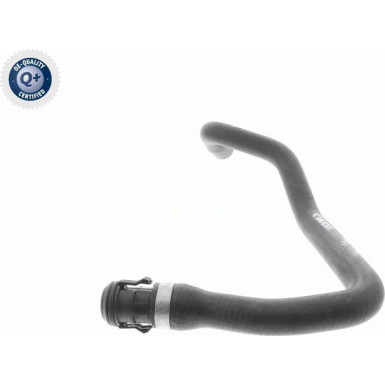 Vaico | Kühlerschlauch | V30-3148