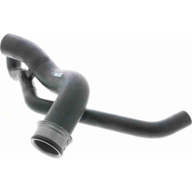 Vaico | Kühlerschlauch | V30-1769