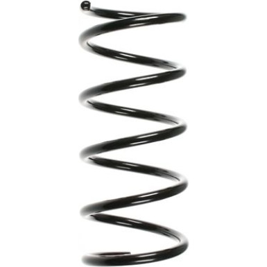 Spidan | Fahrwerksfeder | 55218