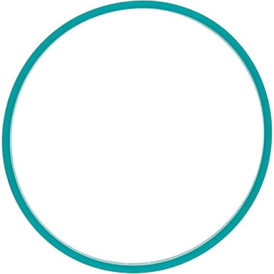 A2C59516956 Dichtung A2C59516956 Dichtung