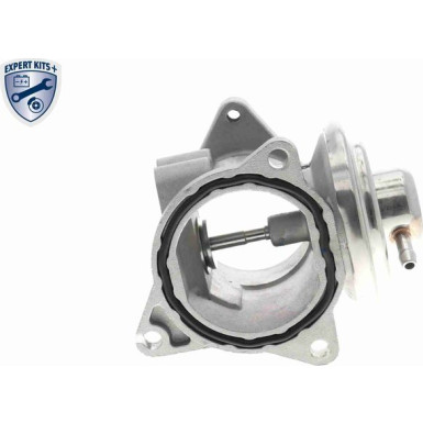 Vemo | AGR-Ventil | V10-63-0011-1