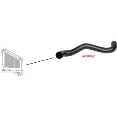 2420062 Kühlerschlauch