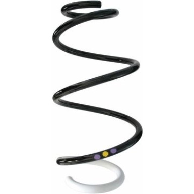 Spidan | Fahrwerksfeder | 87877
