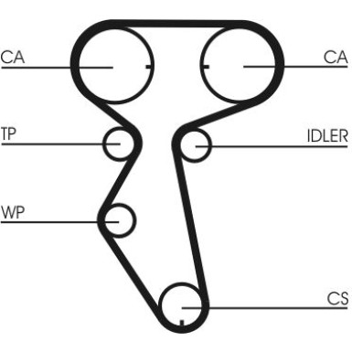CT887 Zahnriemen