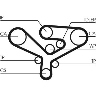 CT1135 Zahnriemen