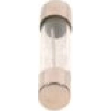 BOSCH | Sicherung | 1 987 529 902