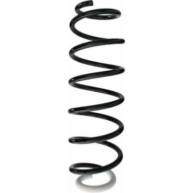 Spidan | Fahrwerksfeder | 87379