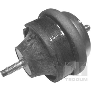 Tedgum | Lagerung, Motor | 00145015
