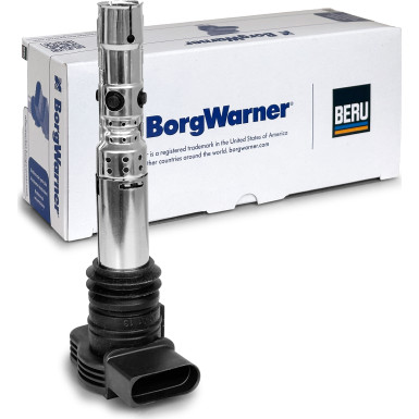 BorgWarner (BERU) Zündspule ZSE043