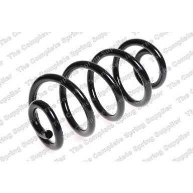 4262059 Fahrwerksfeder