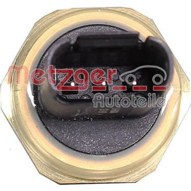 Metzger | Sensor, Kraftstoffdruck | 0906493