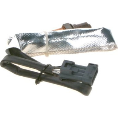 0 258 006 541 Lambdasonde