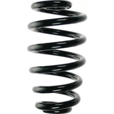 Spidan | Fahrwerksfeder | 56869