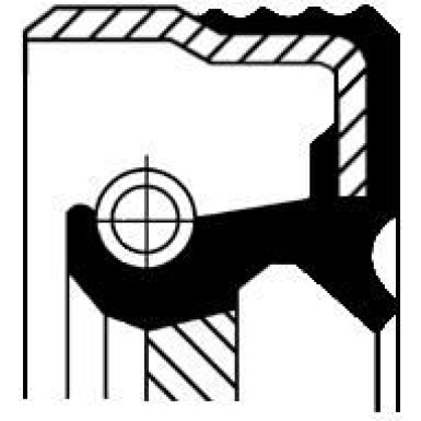 12012697B Wellendichtring, Differential