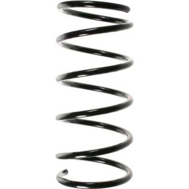 Spidan | Fahrwerksfeder | 49564
