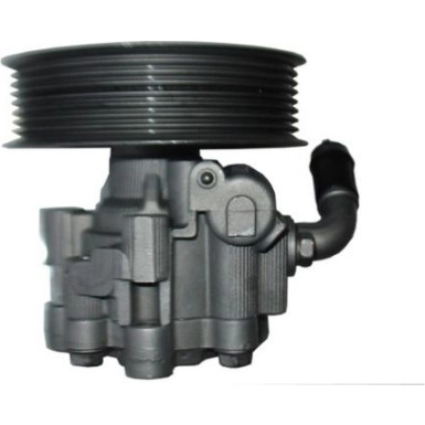 Spidan 4 x SPIDAN Hydraulikpumpe, Lenkung 54405