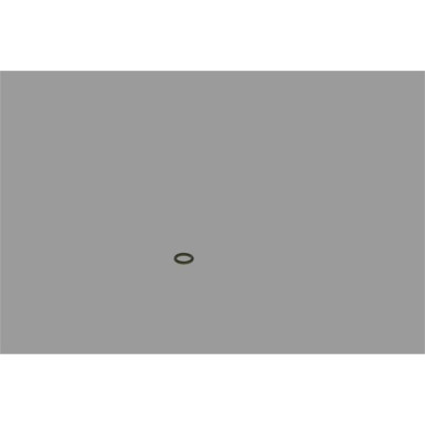 BOSCH | Dichtring | F 00R 0P0 340