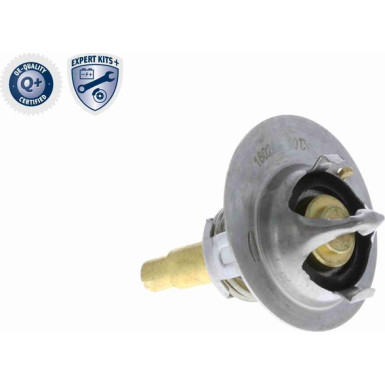 Vemo | Thermostat, Kühlmittel | V30-99-0104