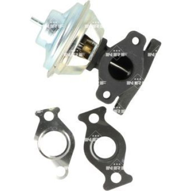 NRF | AGR-Ventil | 48729