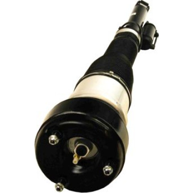Maxgear | Lagerung, Motor | 40-0231