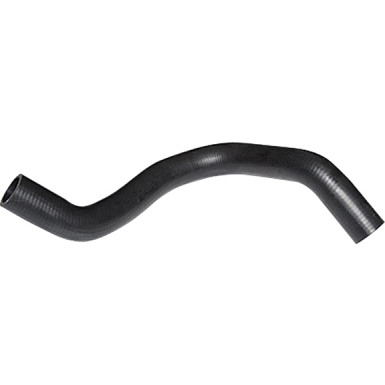 2420104 Kühlerschlauch