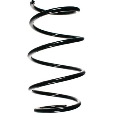 Spidan | Fahrwerksfeder | 55120