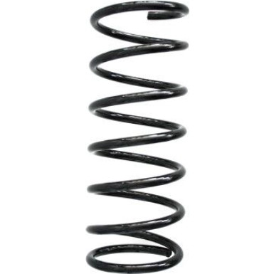 Spidan | Fahrwerksfeder | 55211