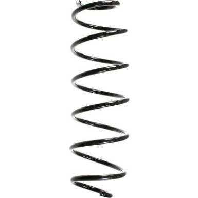 Spidan | Fahrwerksfeder | 55238