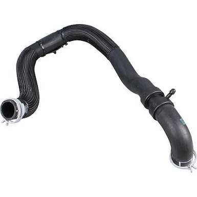 2421166 Kühlerschlauch COMPETENCE KIT ORIGINAL ERSATZTEIL