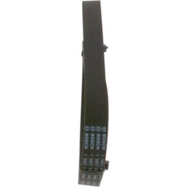 1 987 947 945 Keilrippenriemen